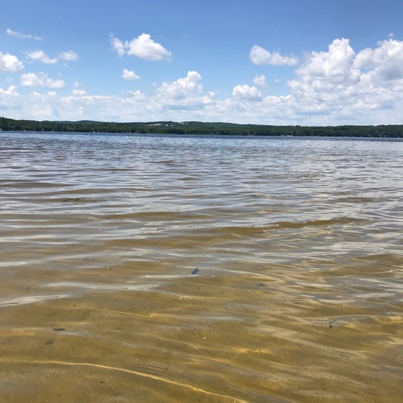 Meet your Posher, Tasha - Picture 1 of 1